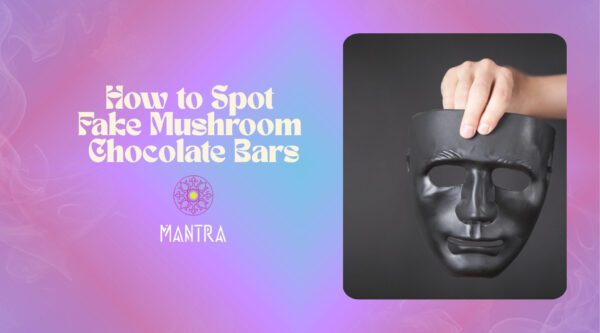 How to Spot Fake Mushroom Chocolate Bars