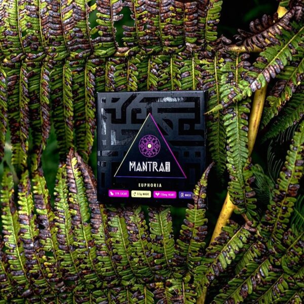 Do Mushroom Chocolates Go Bad?