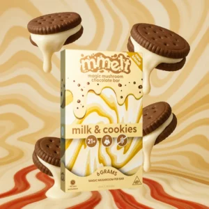 mmelt mushroom chocolate