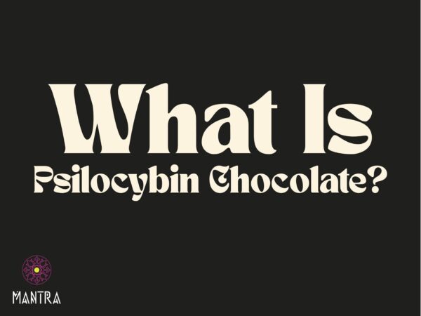 What Is Psilocybin Chocolate? Safety, Sourcing & Sacred Use
